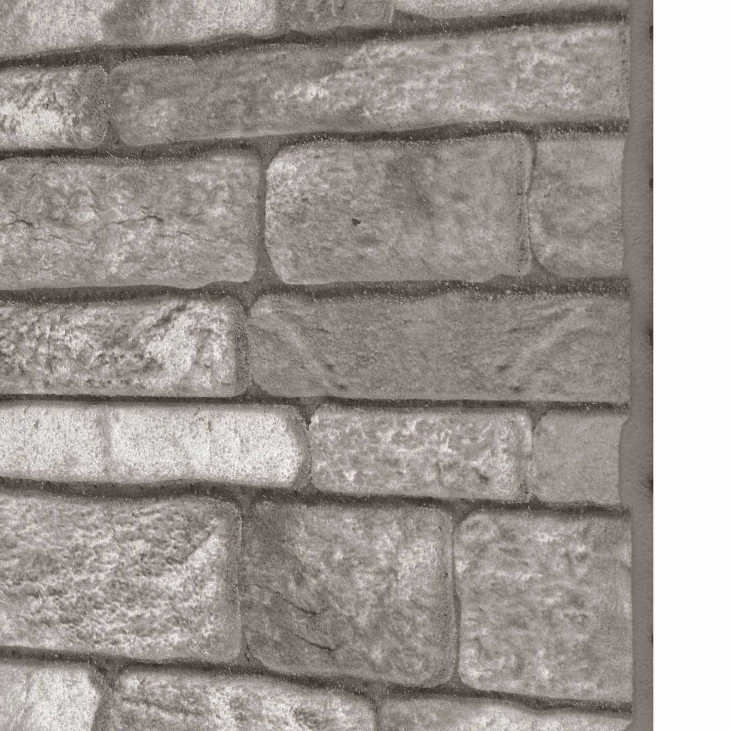 Wall Panels 10 pcs 100 x 50 cm Dark Grey EPS Foam