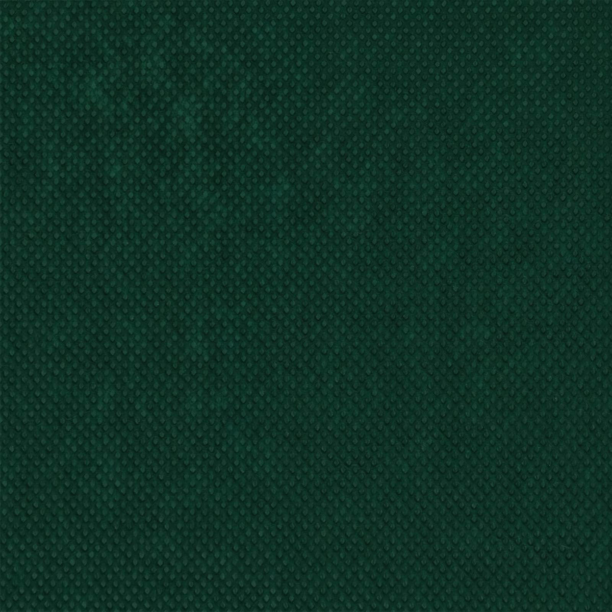 Frost Protection Plant Fleece 120 gsm 10 x 1.6 m