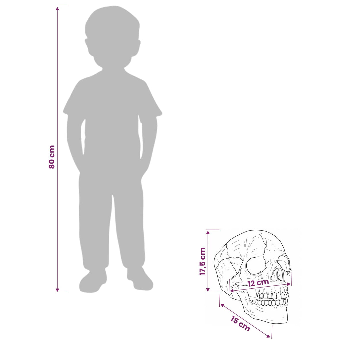 Halloween Skull SPOOKA 2 pcs White 12 x 15 x 17.5 cm Plastic