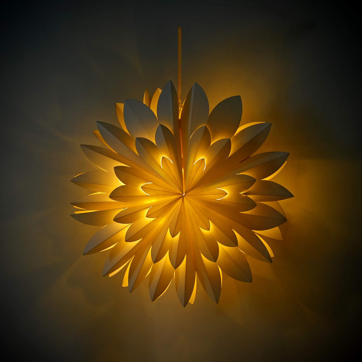 Christmas Lighting RAAHE 10 LEDs Warm White 60 x 20 x 60 cm