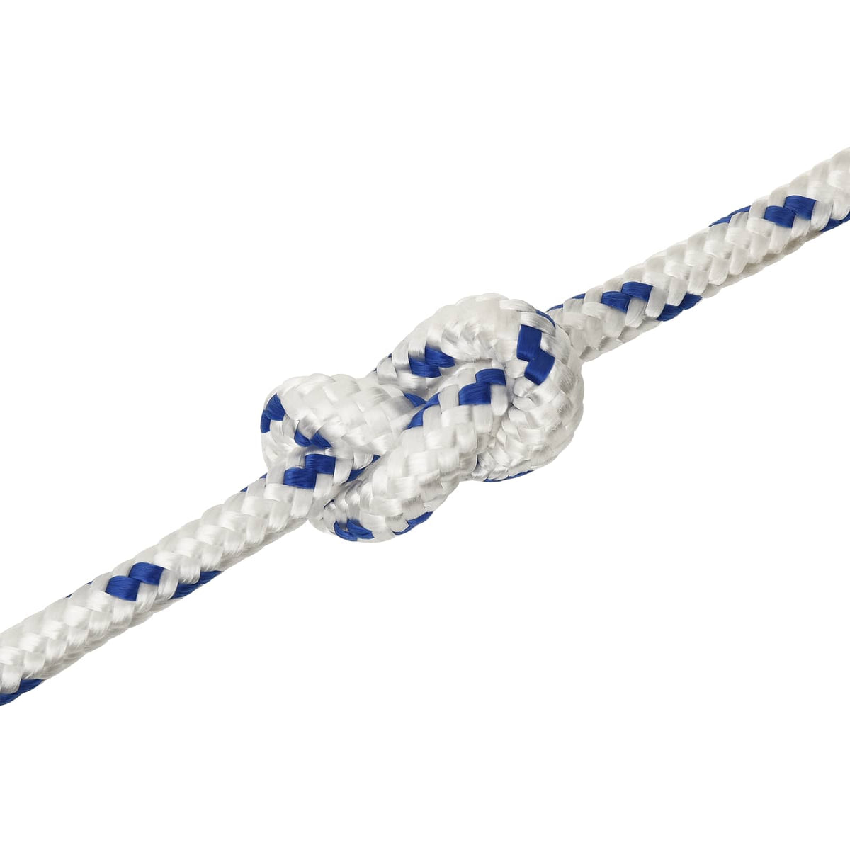 Multipurpose Utility Rope 12 mm 100 m White and Blue PP