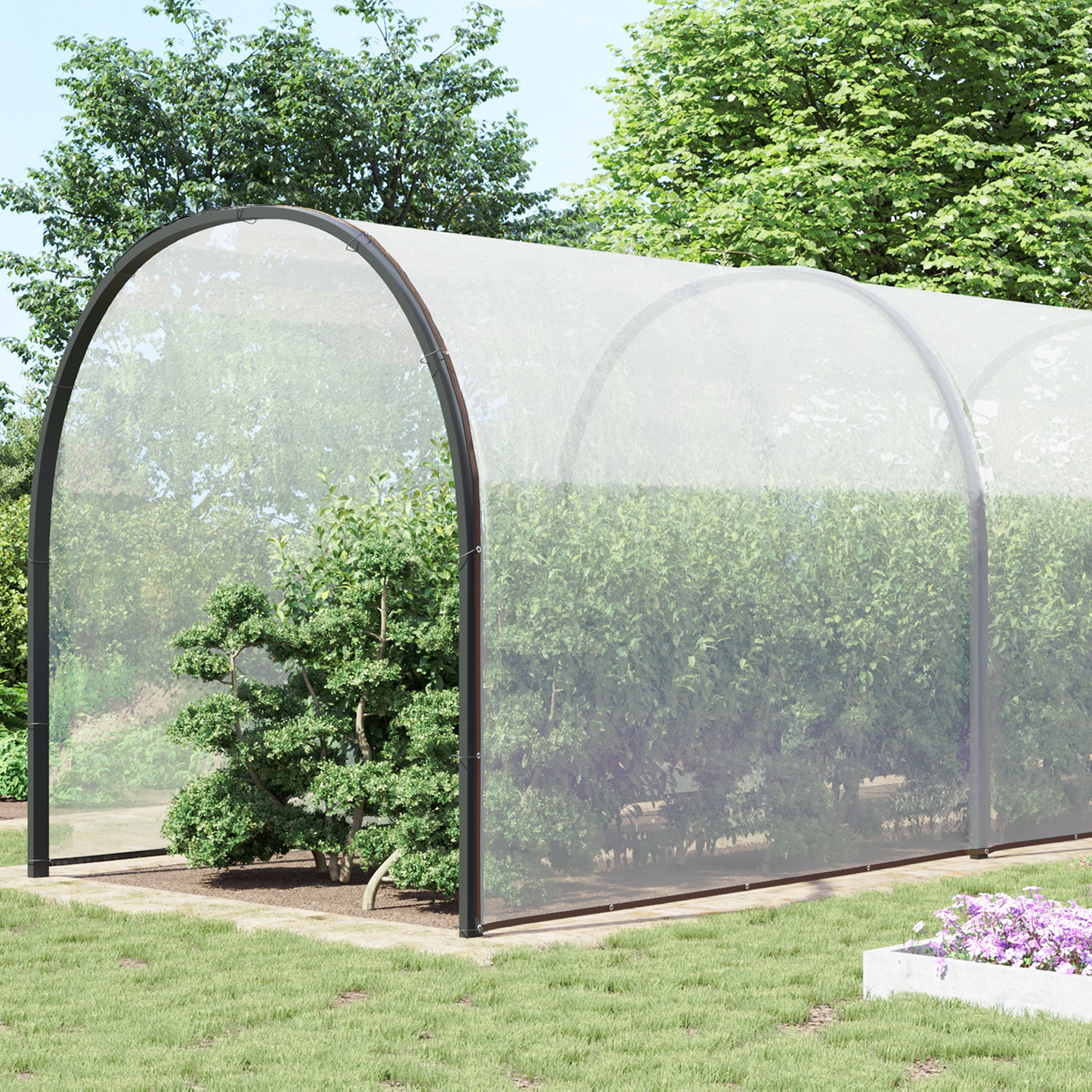 Plant Cover Transparent 10 x 12 m PE