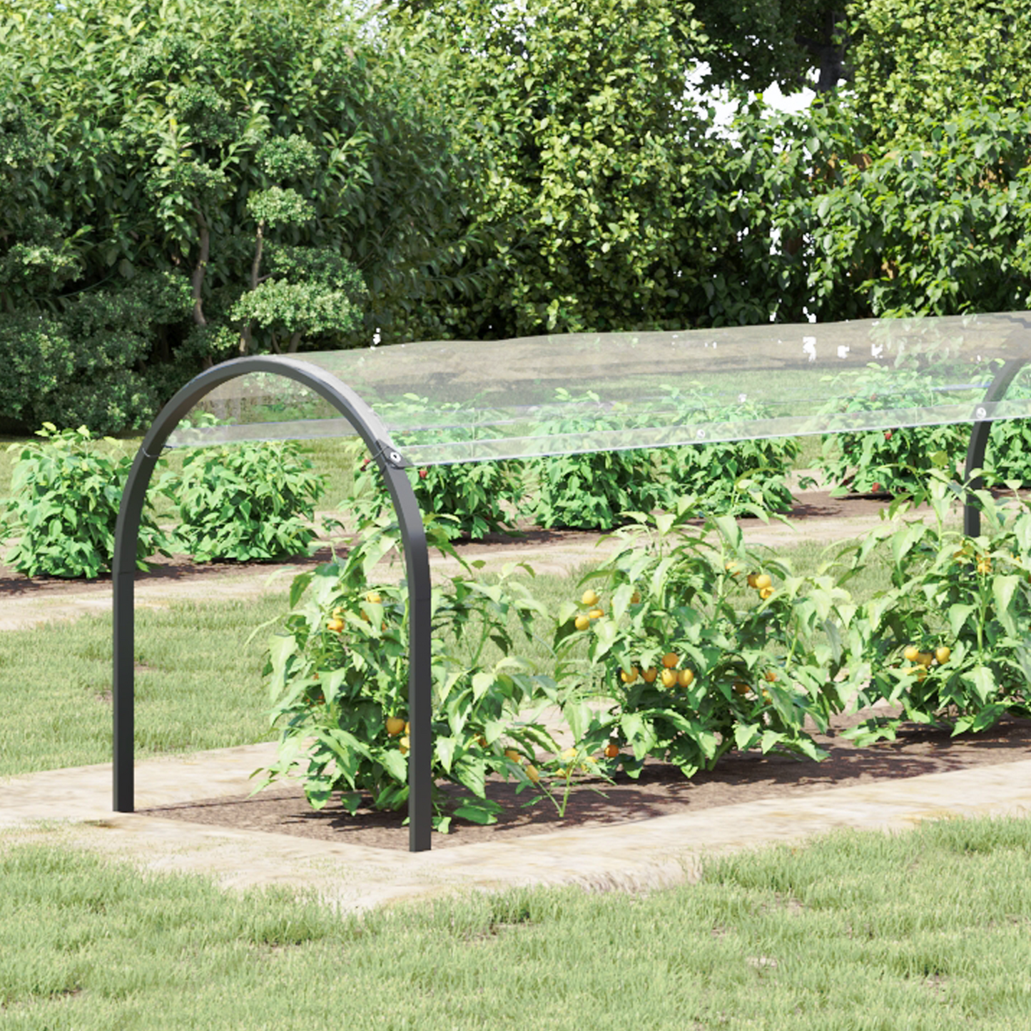 Plant Cover Transparent 6 x 1.5 m PVC