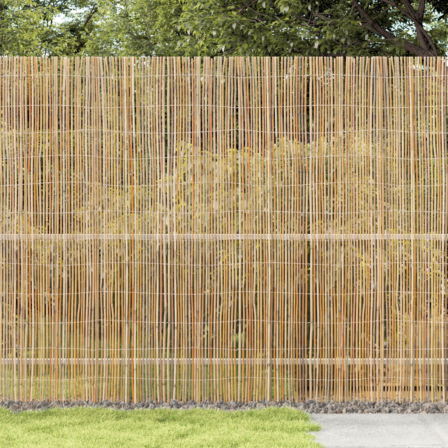 Bamboo Fence Natural 300 x 180 cm Bamboo