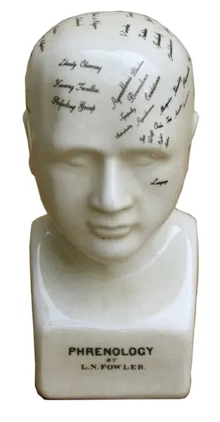 Ceramic Palmistry Hand 24cm