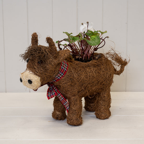 Sitting Reindeer Planter with Christmas Scarf