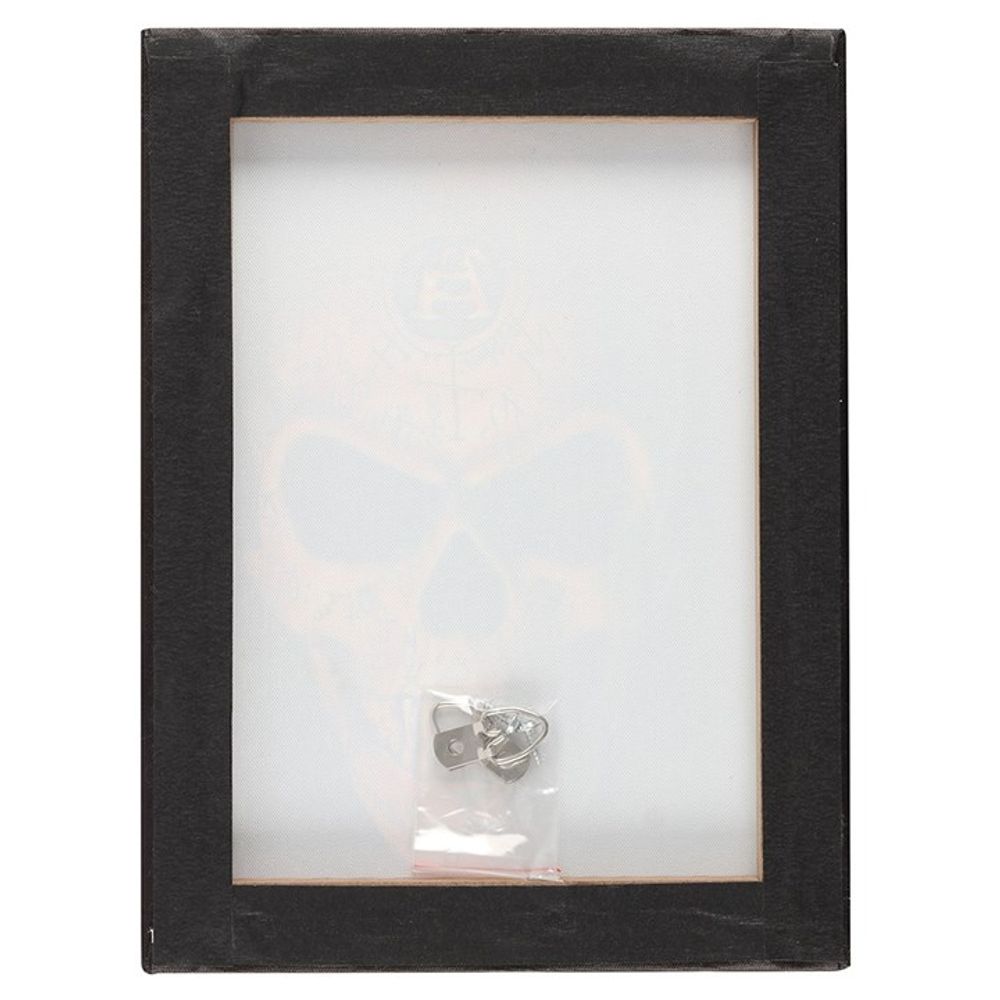 19x25cm Omega Skull Canvas Plaque by Alchemy