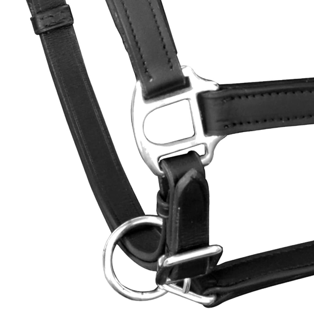 Real Leather Headcollar Stable Halter Adjustable Black Full - Upclimb Ltd