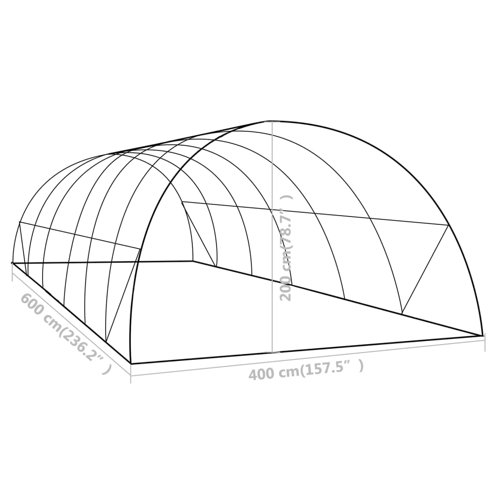 Serre 24 m² 6x4x2 m