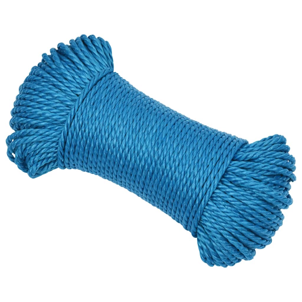 vidaXL Work Rope Blue 6 mm 100 m Polypropylene