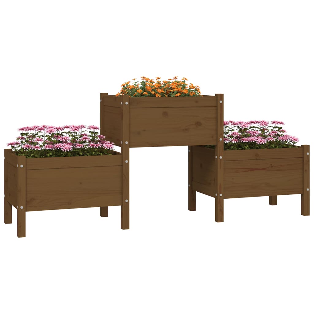 vidaXL Planter Honey Brown 178.5x44x75 cm Solid Wood Pine